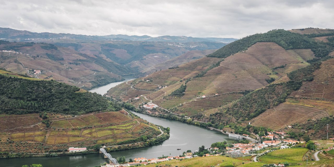 Douro Valley: Portugal’s Wine Region