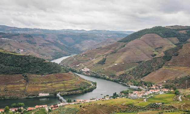 Douro Valley: Portugal’s Wine Region